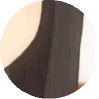 a close up of a person 's torso in a circle .