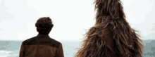 Han Solo Wookie GIF - Han Solo Wookie There There GIFs