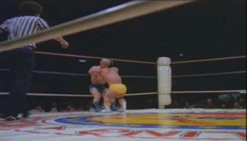 wrestling-awesome-wow.gif