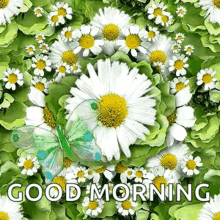 Good Morning Flowers GIF - Good Morning Flowers Butterfly GIFs