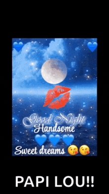 a good night handsome sweet dreams papi lou !