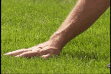 Touching Grass GIF - Touching Grass Touch GIFs