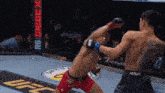 two men are fighting in a ring with a sign that says rg siege x on it