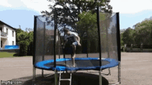 jumping frien excited trampoline