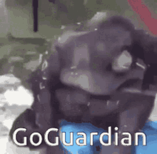 Go Guardian School GIF