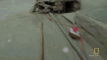 Installing Water Hose Parched GIF - Installing Water Hose Parched Screw On A Garden Hose GIFs