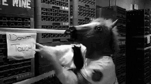 Donttouch Wtf GIF - Donttouch Wtf Horse GIFs