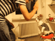 çak Bir Beşlik GIF - Cak Bir Beslik Kedi GIFs