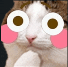 Flushedcat GIF - Flushedcat Cat GIFs
