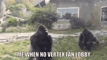vertex fan lobby gorilla tag roscovr