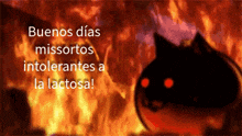 a picture of a cat with the words buenos dias missortos intolerantes a la lactosa