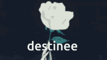Flowers Destinee GIF