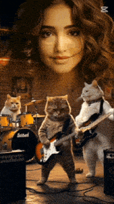 three cats are playing guitars in front of a drum set that says batchart