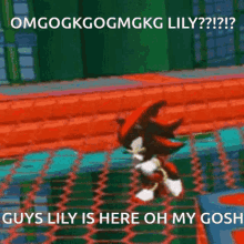 Shadowthehedgehog Lily GIF - Shadowthehedgehog Lily Discord GIFs