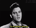 Elvis For My Darling GIF - Elvis For My Darling GIFs