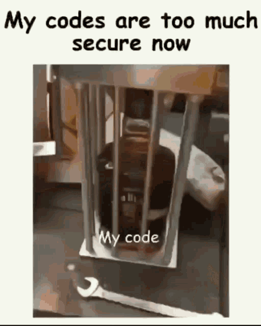 a cartoon of a person in a cage with the words `` my codes are too much secure now '' .
