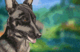 a close up of a dog 's face with a blurry background