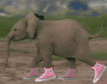 Gotta Pee Elephant GIF