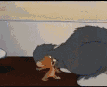 Tom And Jerry Fight GIF - Tom And Jerry Fight Plate GIFs