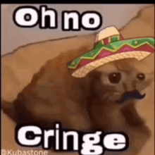 Cringe Mexicano GIF - Cringe Mexicano Cat GIFs