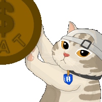 a cat wearing a baseball cap and a blue tag with the letter r on it