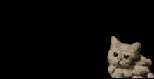 Storm Cat GIF - Storm Cat GIFs