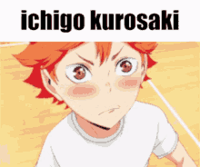 ichigo ichigo kurosaki bleach anime shoyo hinata haikyuu