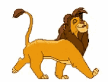 lion lion