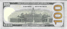 a united states of america 100 dollar bill