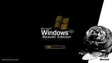 Windows Xp Winxp GIF - Windows Xp Winxp Beaver GIFs
