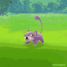 Rattata GIF - Pokemon Go Rattata GIFs