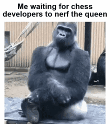 Chess Queen GIF - Chess Queen Gorilla GIFs
