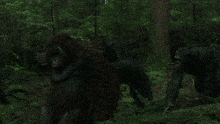 a man sits in front of a tent in the woods while a large brown animal stands in front of him