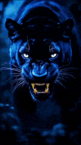 a picture of a black panther with the words em aaamb written below it