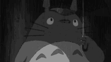 Black And White Rain GIF - Black And White Rain Totoro GIFs