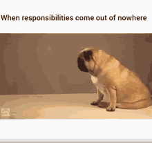 Responsibility Responsibilities GIF - Responsibility Responsibilities Stress GIFs