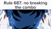 Rule 687 No Breaking The Combo GIF - Rule 687 No Breaking The Combo Goku GIFs