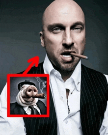 a man smoking a cigar next to a picture of a pig with a big nose