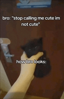 Stop Calling Me Cute GIF