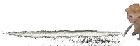 a kitten is sniffing a line of cocaine on a white surface