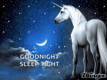 Goodnight Sleep Tight GIF - Goodnight Sleep Tight Horse GIFs