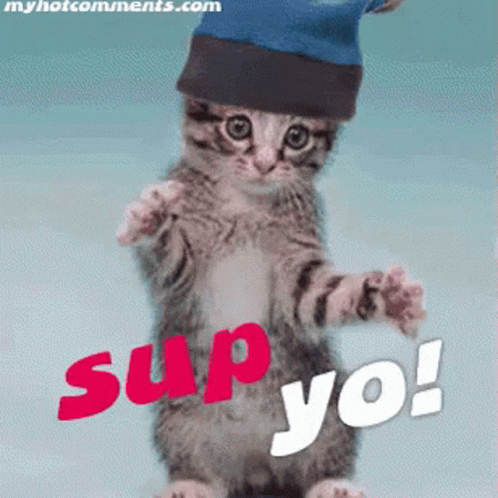 Sup Whats GIF - Sup Whats Up GIFs