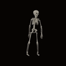 Skeleton Spin GIF - Skeleton Spin Dance GIFs