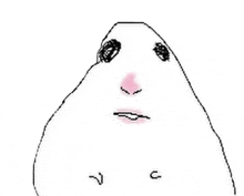 a black and white drawing of a hamster 's face with a pink nose and mouth .