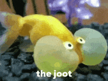 Joot The Joot GIF - Joot The Joot Fishstick GIFs
