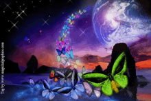 Butterfly Space GIF - Butterfly Space Sparkling GIFs