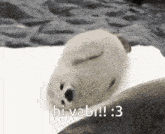 a seal puppy is sleeping on a rock with the words hi vabi !! : 3 written on it .
