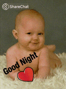 Good Night Baby Images GIFs | Tenor