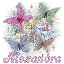 alexandra alexandra name butterfly name glitter