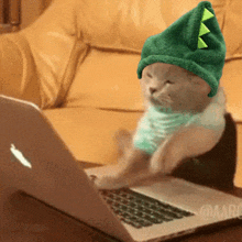 Dinocat Working From Home GIF - Dinocat Working From Home Pc GIFs